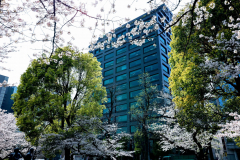 オフィスビル外観（春には会議室からお花見ができます）