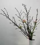 オフィスグリコを導入しました！